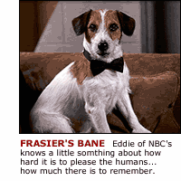 Moose (Eddie) of NBC's Frazier